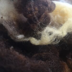 Washed Jacob Fleece (50g)