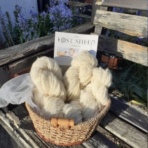 Welsh Mule – Handspun Yarn