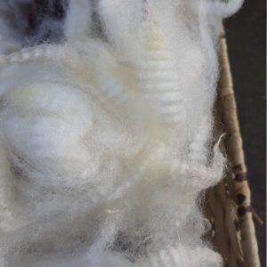 Washed Welsh Mule Fleece (50g)